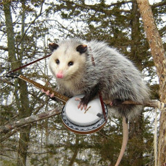 Folk Punk: Still Poor, Still Angry, Still Sad