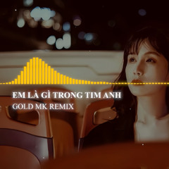 Việt Mix House Lak 2025 | EM LÀ GÌ TRONG TIM ANH - PHAN NHƯ THUỲ | Pro.GOLD MK