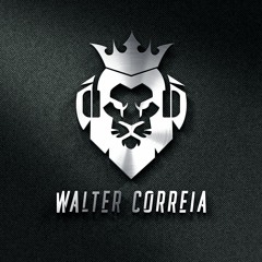 DJ Walter Correia - Fodencia Do Guetto