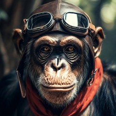 Echoes of the Storm (1)