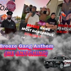 BREEZEGANG ANTHEM ("WE SNITCHING")