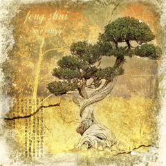 feng shui
