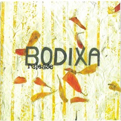 bodixa - I Cried Today