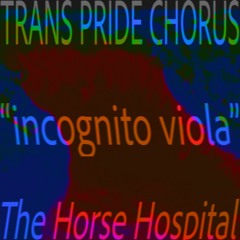 incognito viola