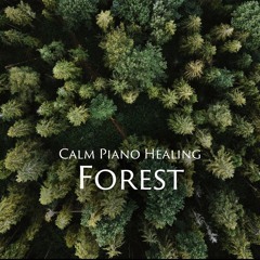 in the quiet forest