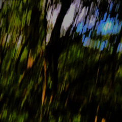 I Slipped into the Rift