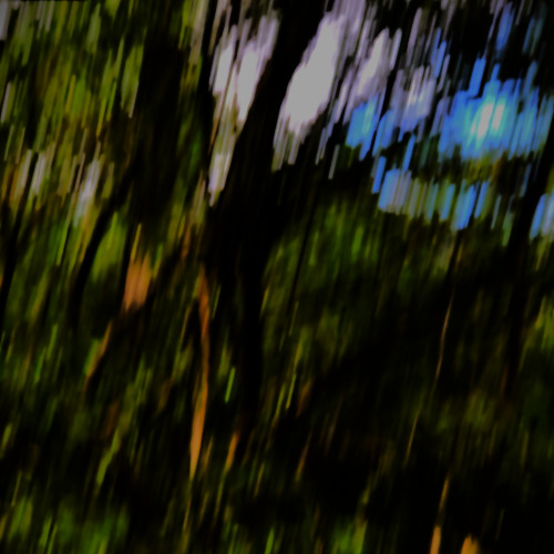 I Slipped into the Rift