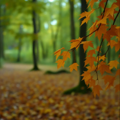When We Fall
