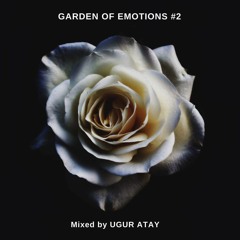 Garden Of Emotions #2
