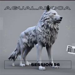SHAKIRA BZRP Session 56 - Agualaboca Remix