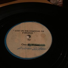 LOST IN THE SHADOWS OF EVENING