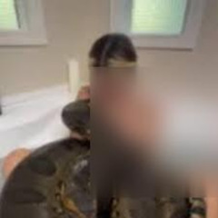 Download+ new one girl 50 snake one girl 50 snake video one girl fifty