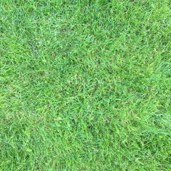 krusty baker - bad habit (CookingCastro.beat)