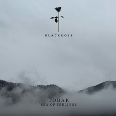 TOBAK & Echordia - Sea Of Feelings (Original Mix)