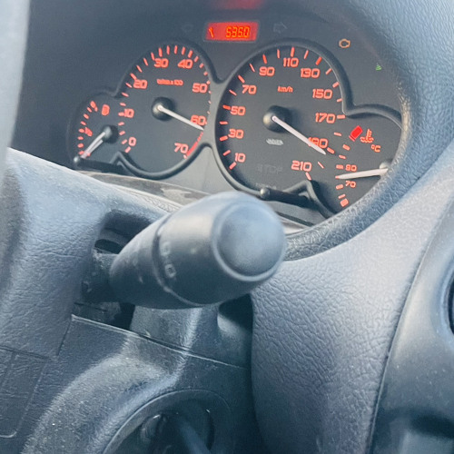 PØLEVAYA-Las Flores