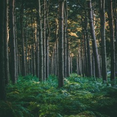 Old [Free Download]