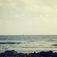 Alerras Project - Rea