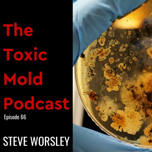 EP 66: Pass or fail when doing mold testing