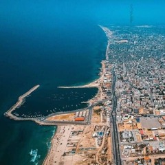 سَنظلُّ يَا غزّة