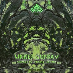 Triptagon feat. Halil Ibrahim Aslan - Jerry Fiction - "WICKED SUNDAY VA"