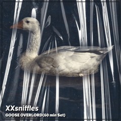 GOOSE OVERLORD V2