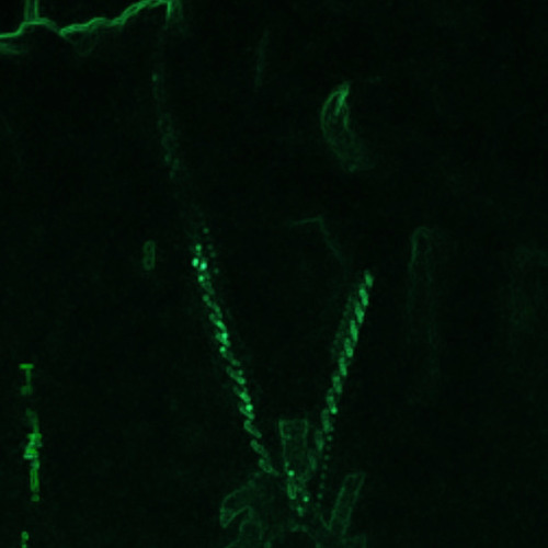 Lilfye HoodTrap demon walk back down .m4a