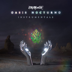 Love That Never (Instrumental)