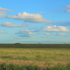 Moisture conditions improving in Alberta