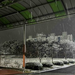 차갑던 여름밤