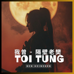 Tôi Từng (我曾 - 隔壁老樊) - Ben Heineken Remix | Freedownload