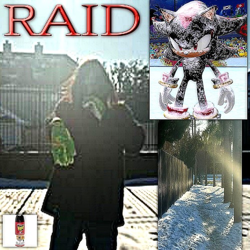 raid (prod.forzen)