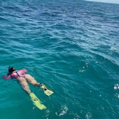 Review Special Price Half Day Snorkel Trip On Reefs In The Florida Keys