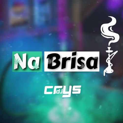 MTG - NA BRISA - DJ CRYS
