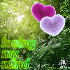 devin - losing my mind (Lab Rat ReMix)