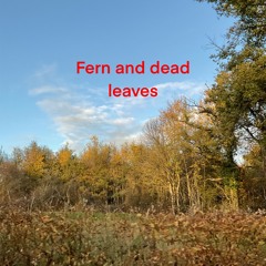Fern And Dead Leaves