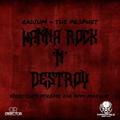 Radium & The Prophet - Wanna Rock N Destroy (Director's XTREME 270 BPM MashUp)