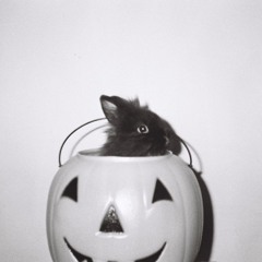 Machines of Loving Grace w/ Midwife 181025