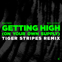 WALTHER & Boy George - Get High (Tiger Stripes Remix) - s0969