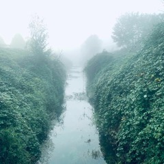 This Body Isn't Mine