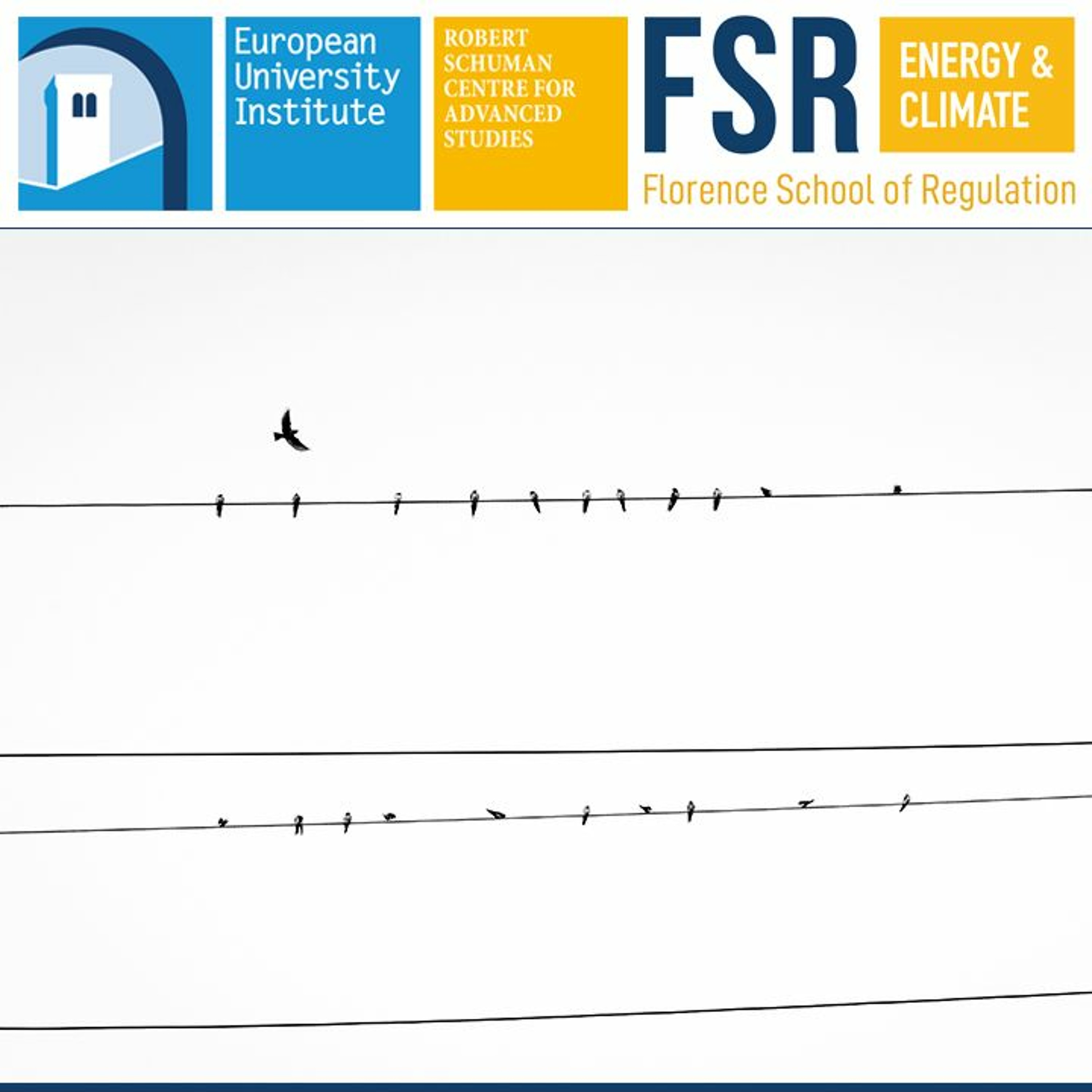 The Changing Role Of DSOs In The Clean Energy Package  A Member State's Perspective episode artwork