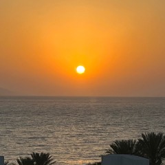 Shameless x shameless