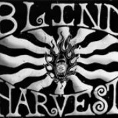 Blind Harvest - Mainline (Live 2024)