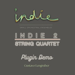 Indie 1 & 2 Sonokinetic Demo by Gustavo Lengruber