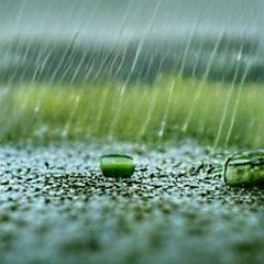 How Robots Hear Summer Rain