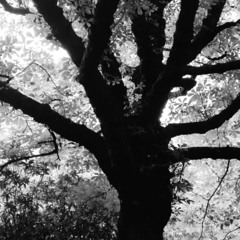 The Stranger With Blue Eyes