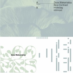 PREMIERE | ZEZE WAKAMATSU - LOOMER [MUSIC IS]