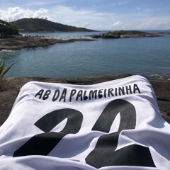 CAFOFO DE TRAFICA FININHA DJ AB DA PALMEIRINHA 2024