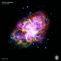 Right Cerebral - Self Conflict (Original Mix) 160Kbps