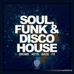 Soul Funk and Disco House Download Audio