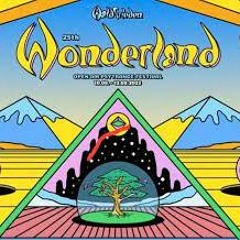 Wonderland 2023 - 8h!!! Kneipe - Bimskis Erben B2b Schnell&Schneller B2b Kobpy